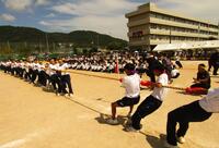 全校縦割り綱引き